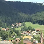 Lamm Mitteltal Baiersbronn