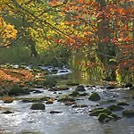 Otel Lamm Mitteltal 4*