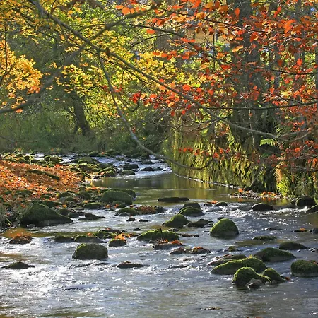 Ξενοδοχείο Lamm Mitteltal 4*