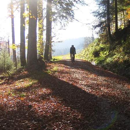 Lamm Mitteltal Baiersbronn