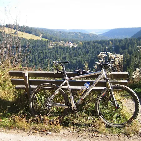 Lamm Mitteltal