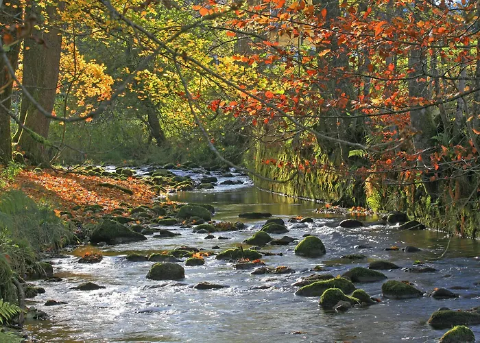 Hotel Lamm Mitteltal 4*