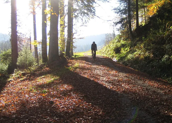 Lamm Mitteltal Baiersbronn