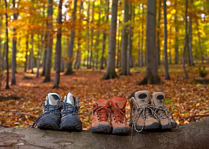 Lamm Mitteltal Hotel 4*